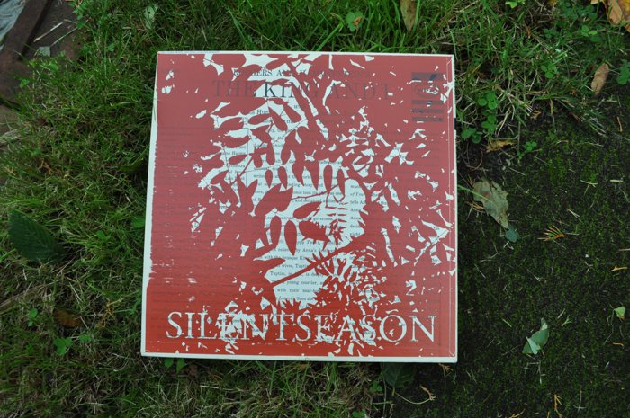 Finished red sleeve outdoors — SSV01