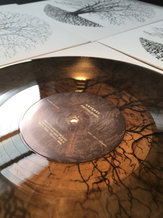 Anniversary series — sleeve and vinyl — SSX-Anniversary