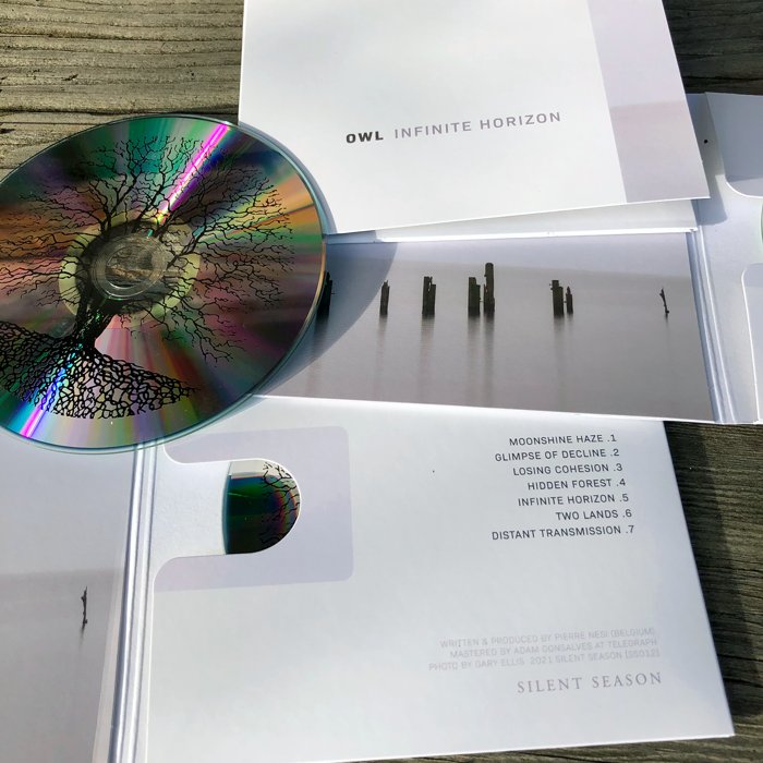 Owl — The Infinite Horizon — release photograph 46