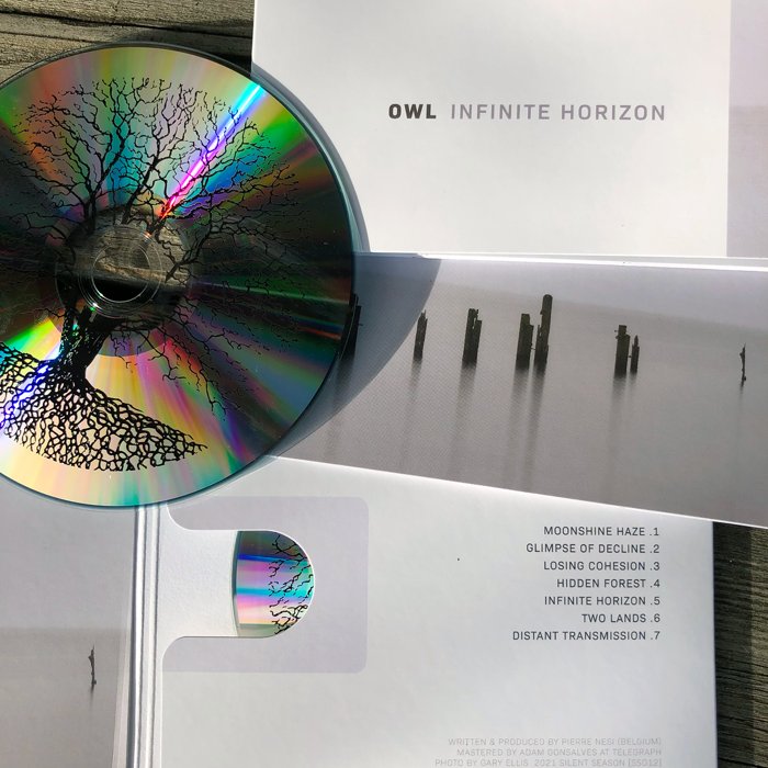 Owl — The Infinite Horizon — release photograph 47