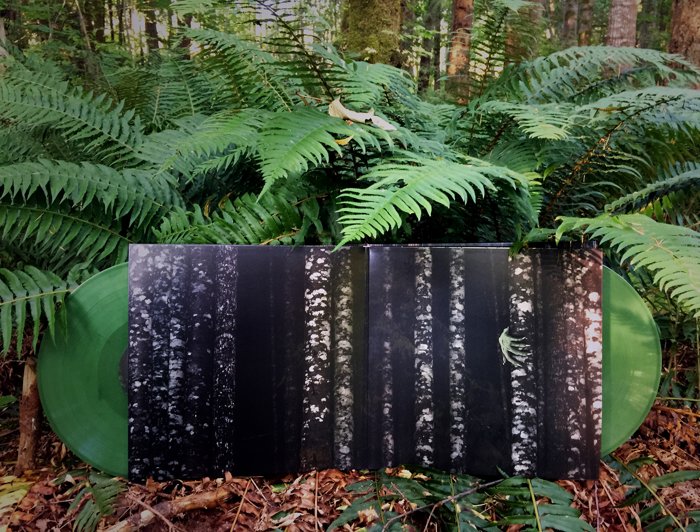 Wanderwelle — Lost in a Sea of Trees — release photograph 17