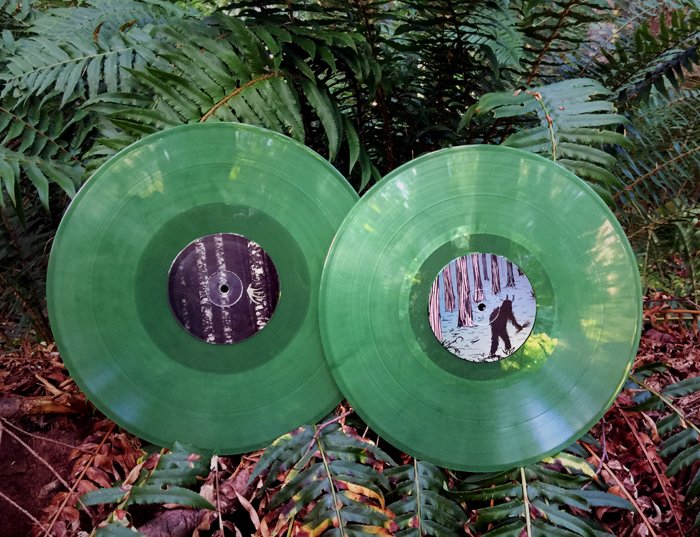 Wanderwelle — Lost in a Sea of Trees — release photograph 18
