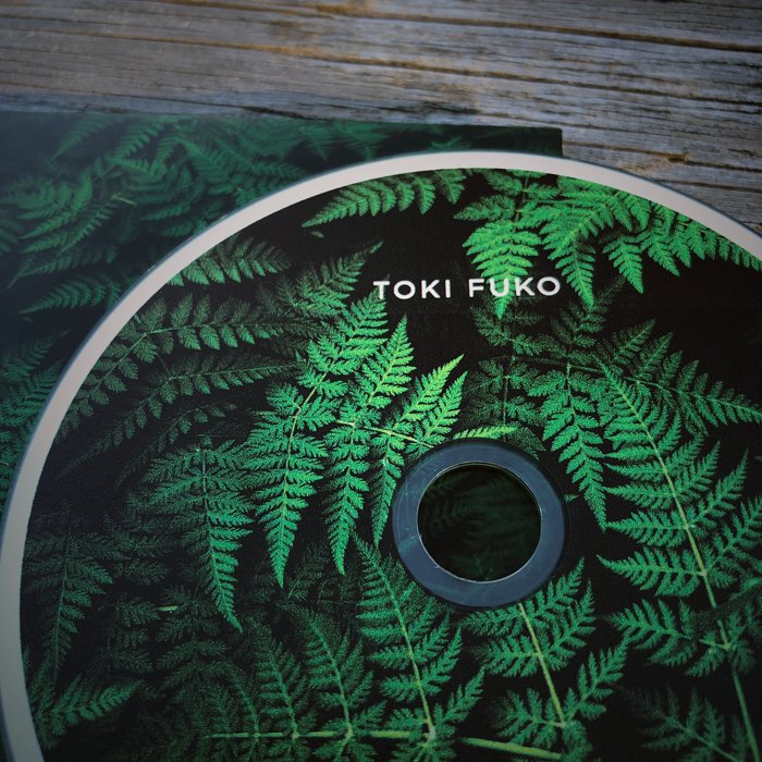 Toki Fuko — Spring Ray — release photograph 11