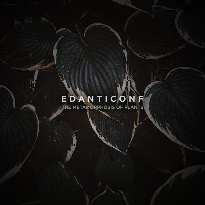Edanticonf — The Metamorphosis of Plants — release photograph 15
