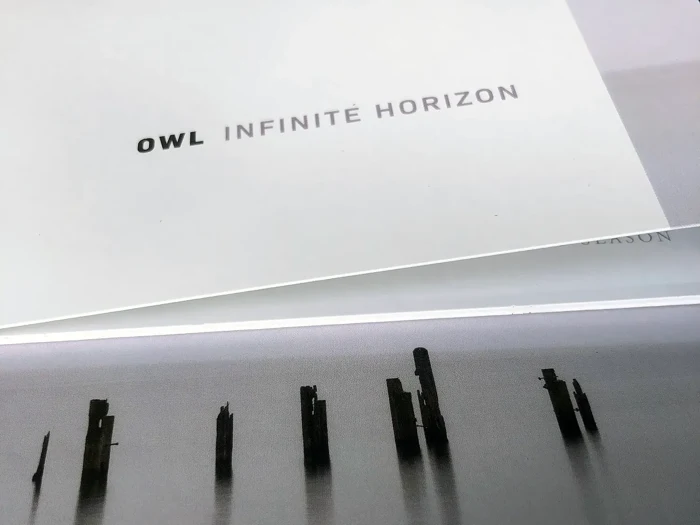 Owl — The Infinite Horizon (SSD12), packaging detail